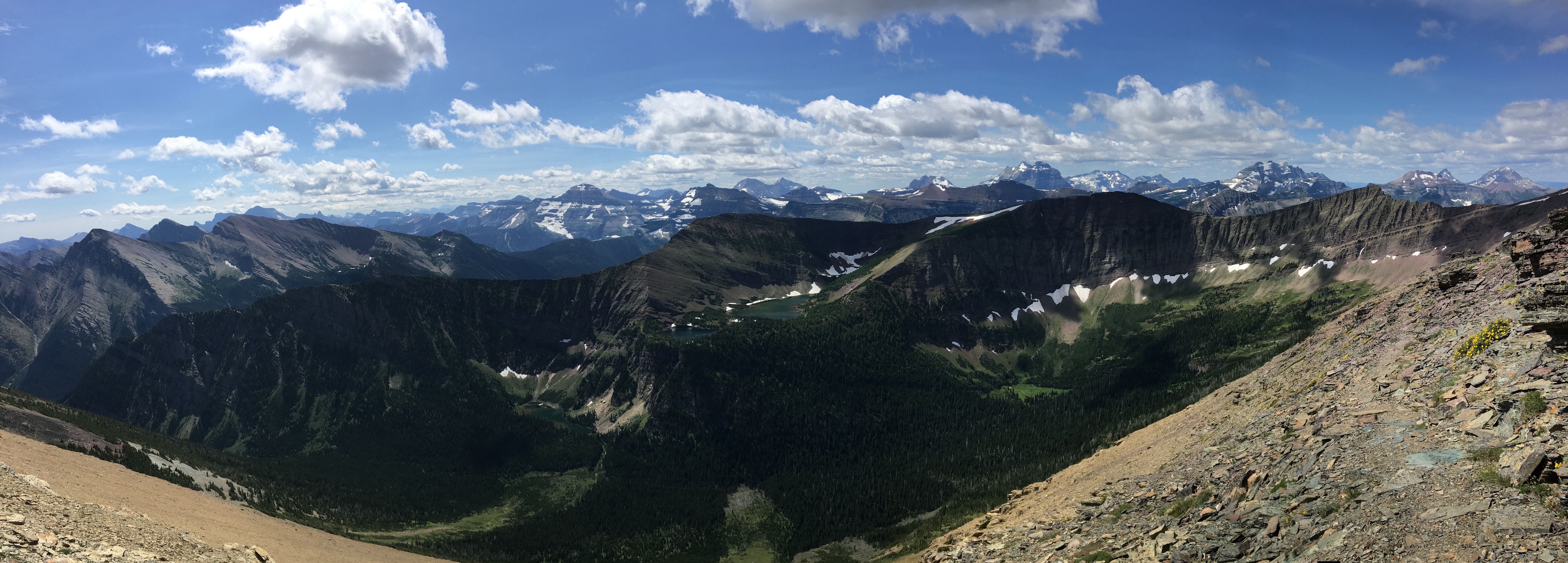 FullSizeRender 6.jpg