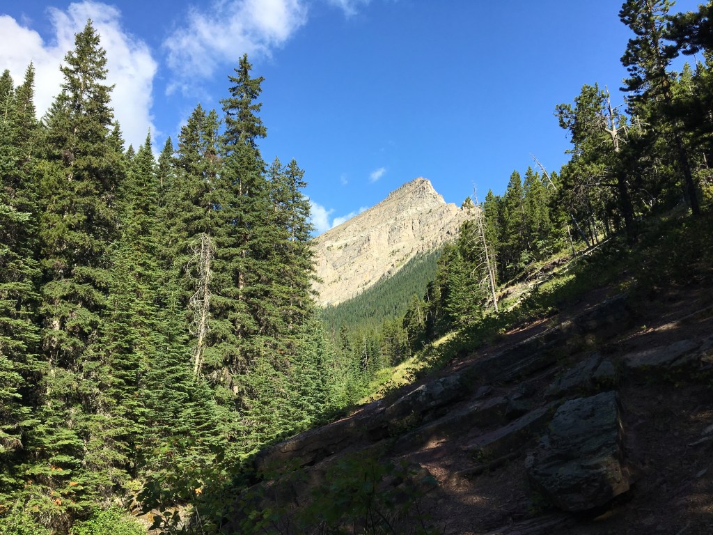 Mount Lineham and Rowe Lakes – Hiking With Par