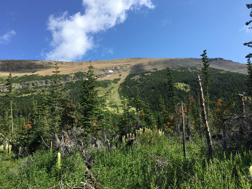 Mount Lineham and Rowe Lakes – Hiking With Par
