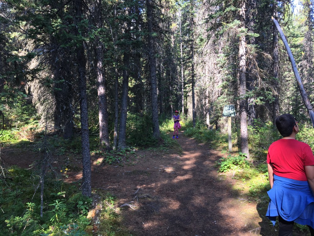 09E8120D-E4F2-4AE9-8765-AA42AEC11019