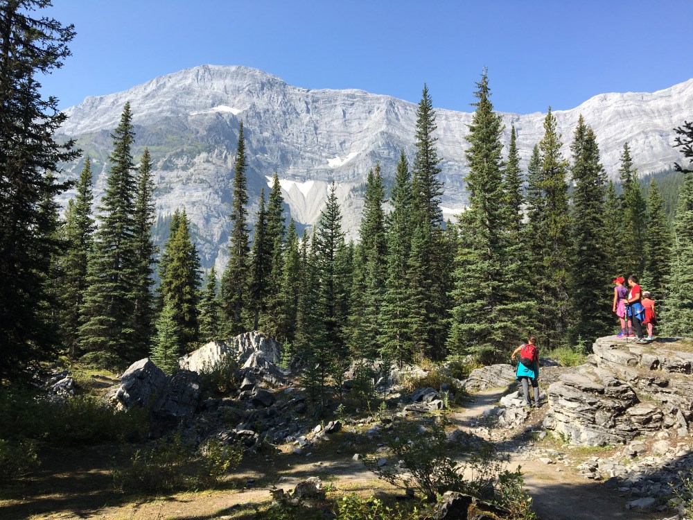 2F9E12DC-44B3-482C-A174-017D561C6767