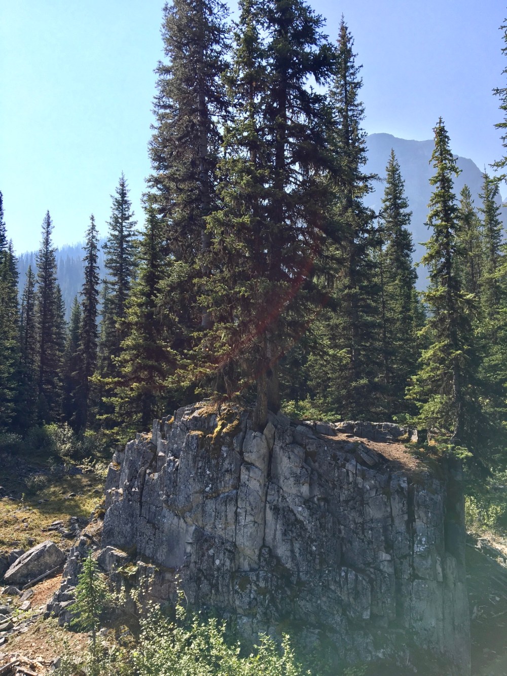 CFFB560D-B7C4-4AD9-8A31-B442937AC029