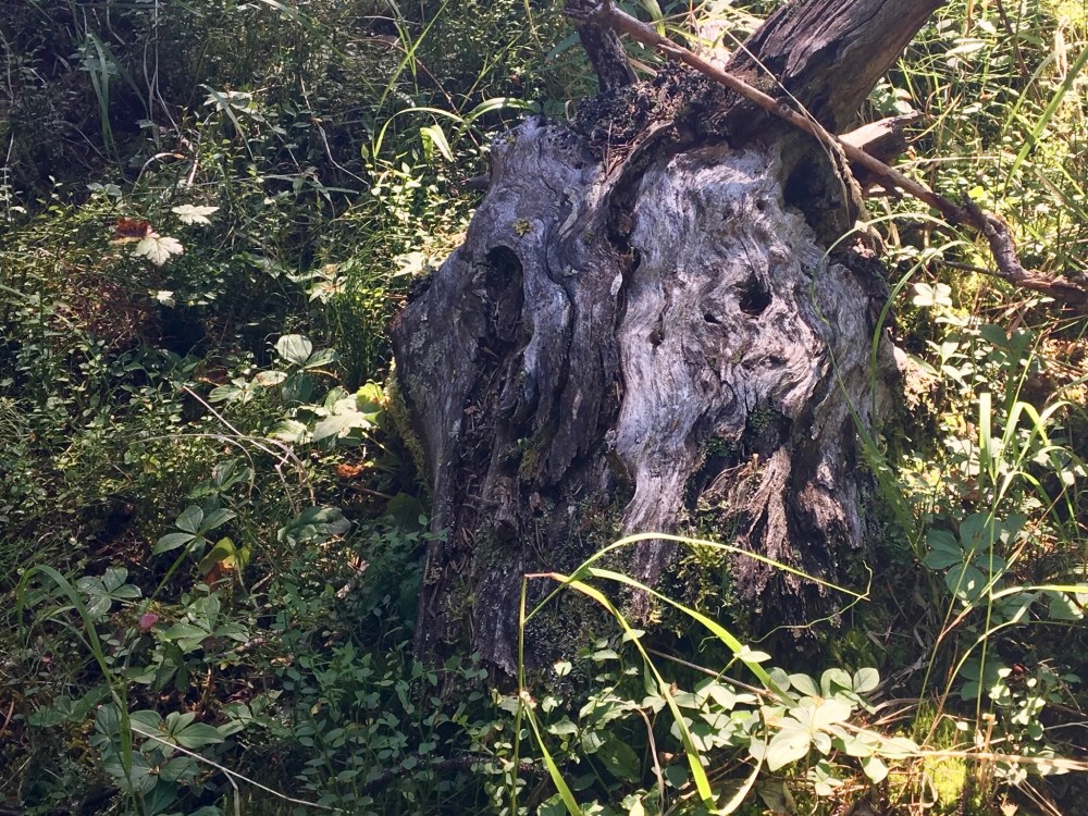 D03826AB-4335-4B29-85EC-0586DF7D5E0F