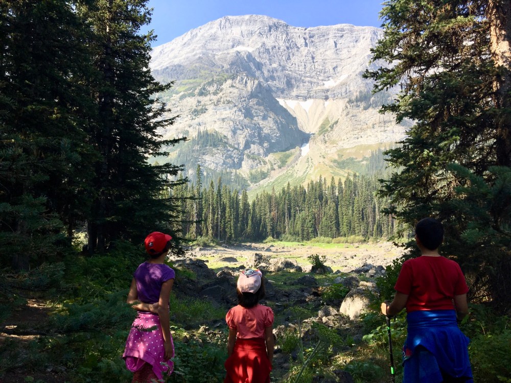 DEECCEEB-EA9F-4377-B8CB-E7D91077E5DD