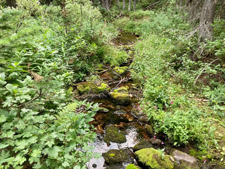 Mount Rowe (via Northeast Ridge) – Hiking With Par