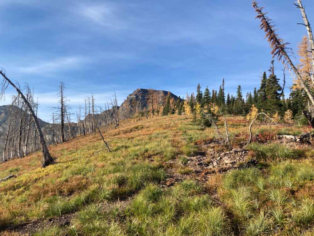 Forum Peak & Akamina Ridge – Hiking With Par